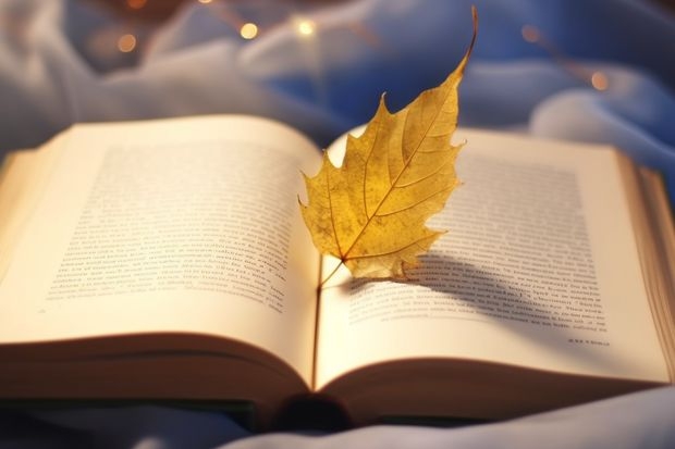 去日本留学做一年交换生需要花费多少钱？