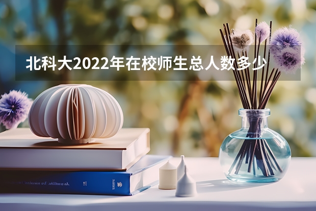 北科大2022年在校师生总人数多少