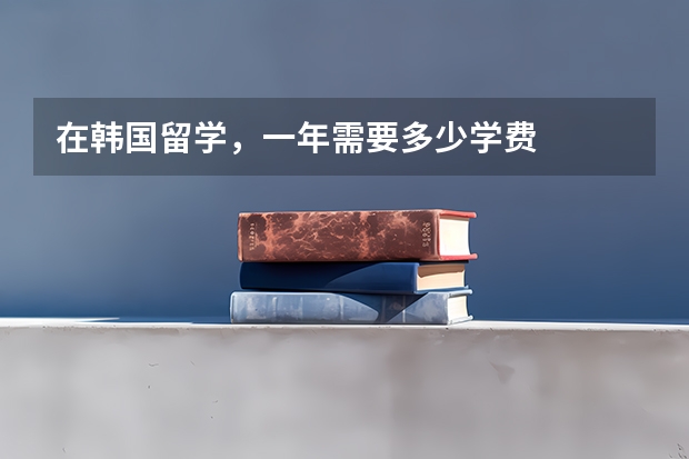 在韩国留学，一年需要多少学费