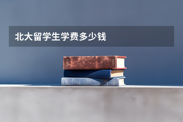 北大留学生学费多少钱