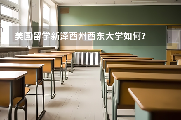 美国留学新泽西州西东大学如何？