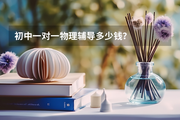 初中一对一物理辅导多少钱？