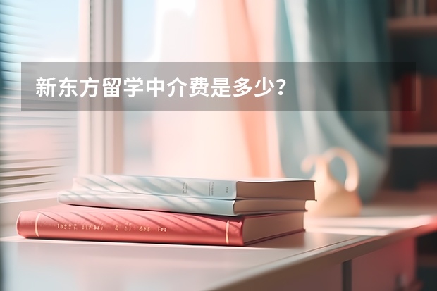 新东方留学中介费是多少？