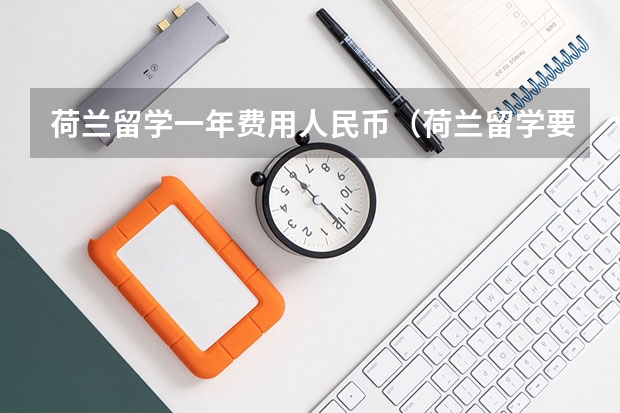 荷兰留学一年费用人民币(荷兰留学要达到的要求条件)