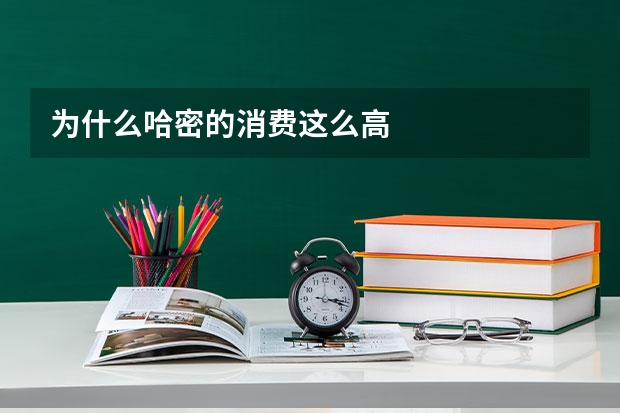 为什么哈密的消费这么高