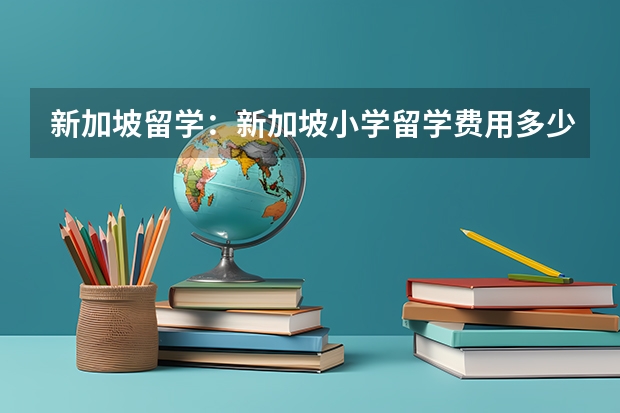 新加坡留学：新加坡小学留学费用多少？