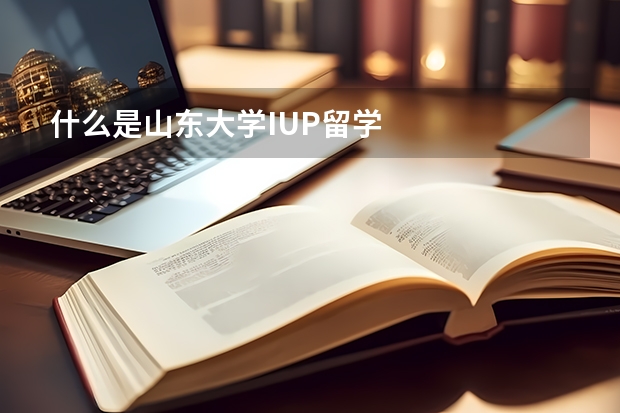 什么是山东大学IUP留学