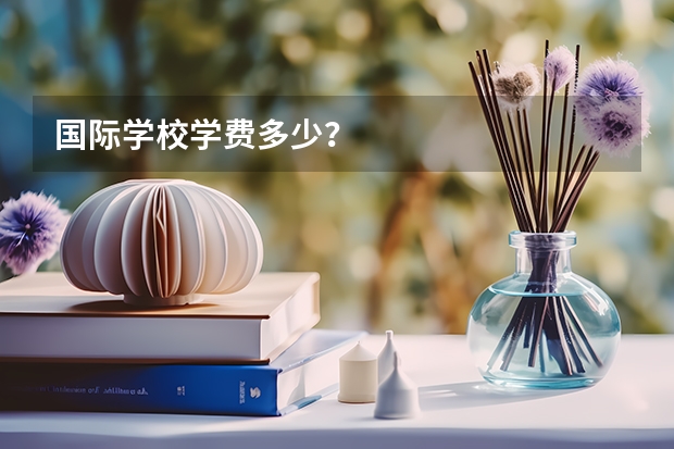 国际学校学费多少？