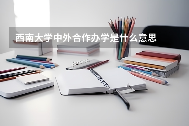 西南大学中外合作办学是什么意思