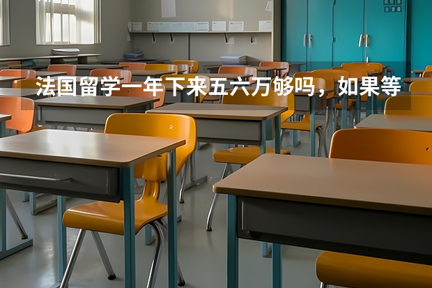 法国留学一年下来五六万够吗，如果等适应了之后出去兼职是不是能承担下来