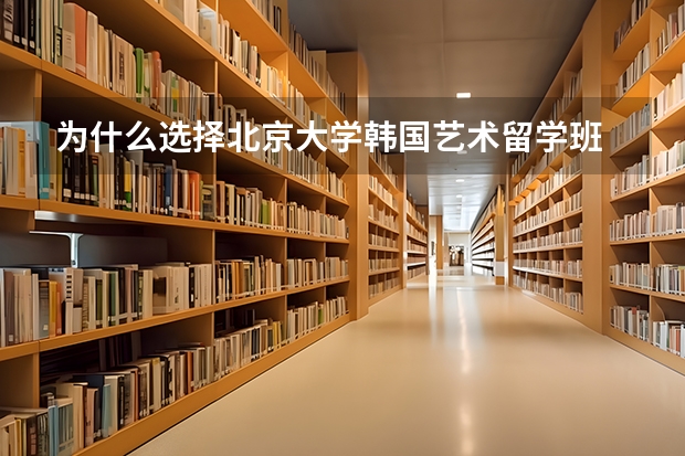 为什么选择北京大学韩国艺术留学班