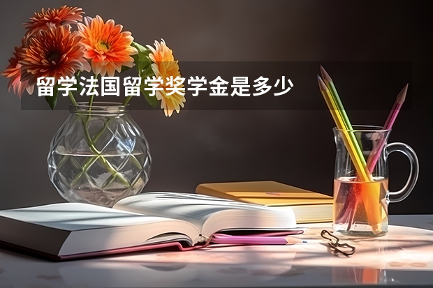 留学法国留学奖学金是多少