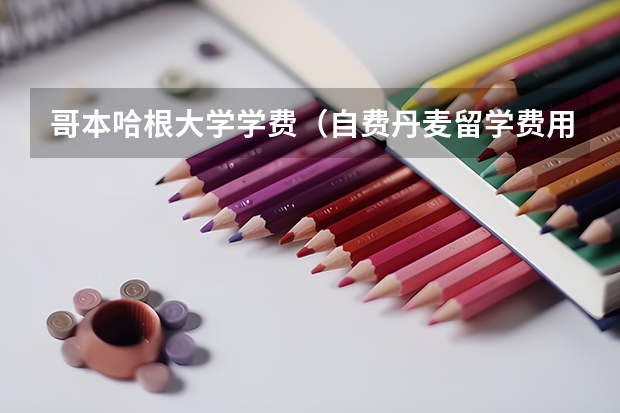 哥本哈根大学学费（自费丹麦留学费用清单 去丹麦留学一年20万够不够）