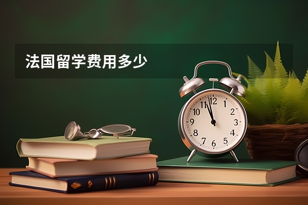 法国留学费用多少