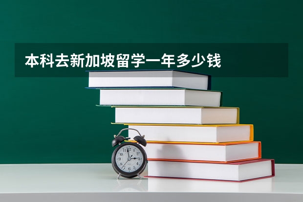 本科去新加坡留学一年多少钱
