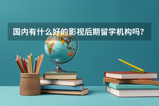 国内有什么好的影视后期留学机构吗？