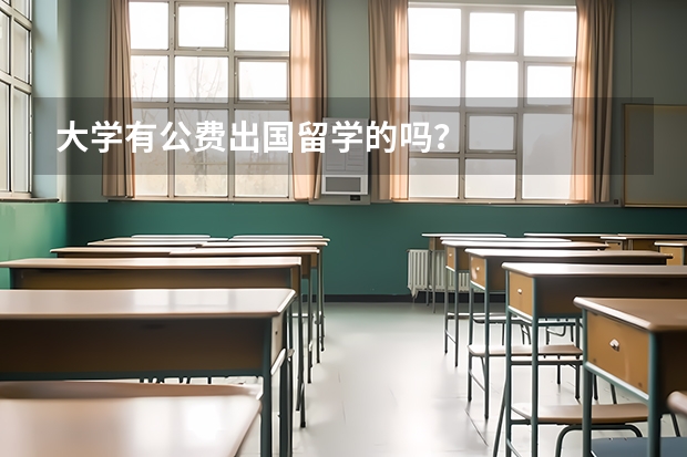 大学有公费出国留学的吗？