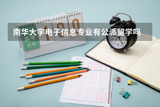 南华大学电子信息专业有公派留学吗