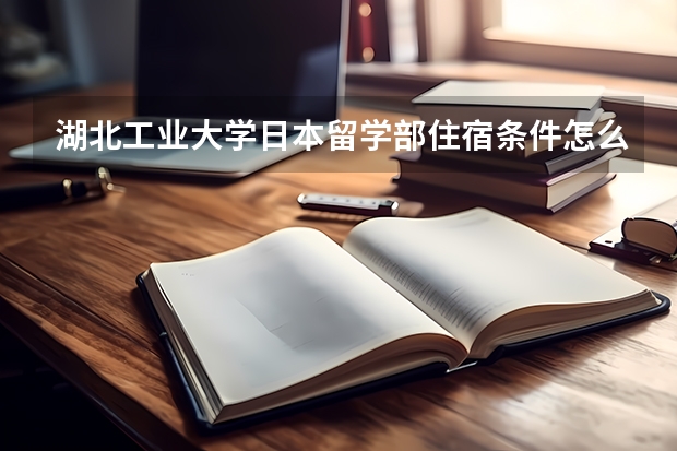 湖北工业大学日本留学部住宿条件怎么样啊