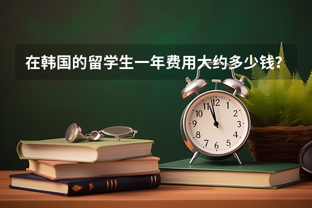 在韩国的留学生一年费用大约多少钱？花销大概在哪些方面？