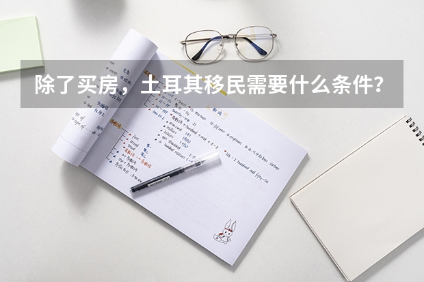 除了买房,土耳其移民需要什么条件?