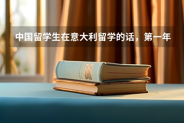 中国留学生在意大利留学的话，第一年是否都有助学金呢？