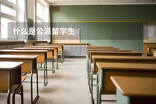 什么是公派留学生