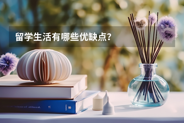 留学生活有哪些优缺点？