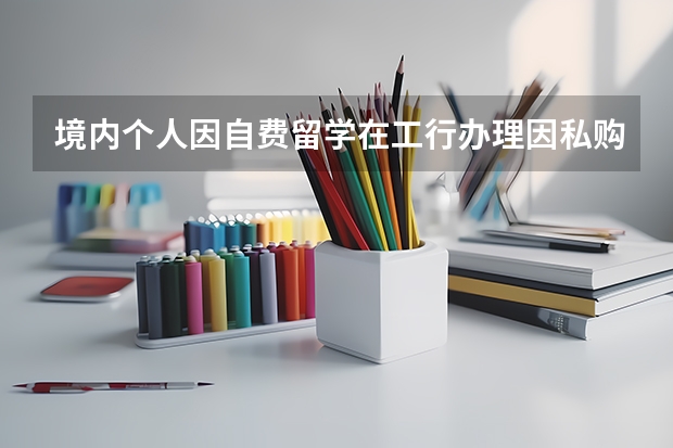 境内个人因自费留学在工行办理因私购汇时需要提供的证明材料是什么？