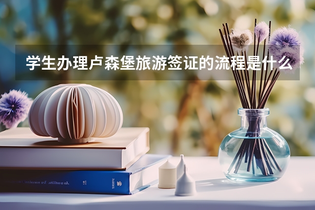 学生办理卢森堡旅游签证的流程是什么？