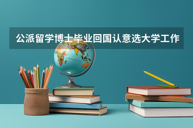 公派留学博士毕业回国认意选大学工作吗