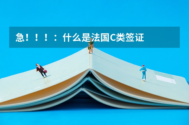 急！！！：什么是法国C类签证