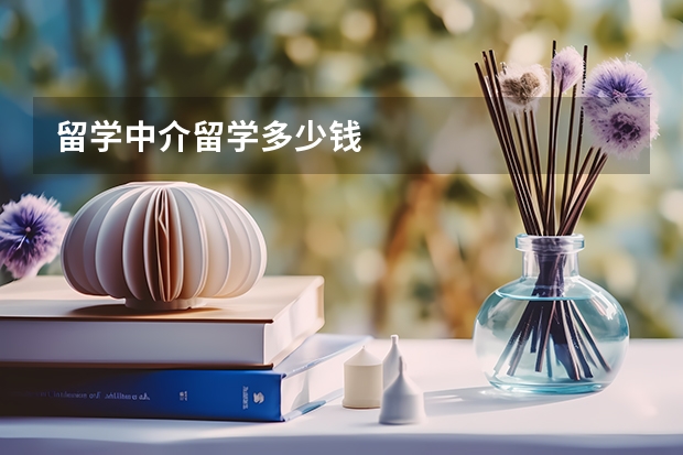 留学中介留学多少钱