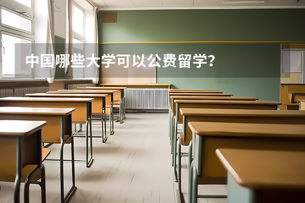 中国哪些大学可以公费留学？