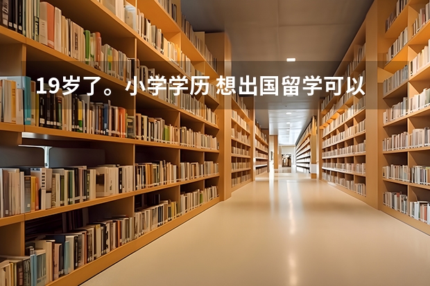 19岁了。小学学历 想出国留学可以吗？