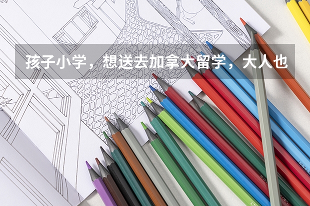 孩子小学，想送去加拿大留学，大人也去陪读，加拿大也有亲人可以做监护人，需要怎么办理呢？