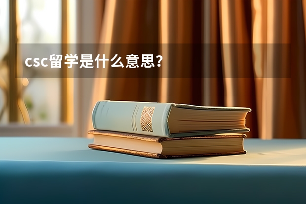 csc留学是什么意思？