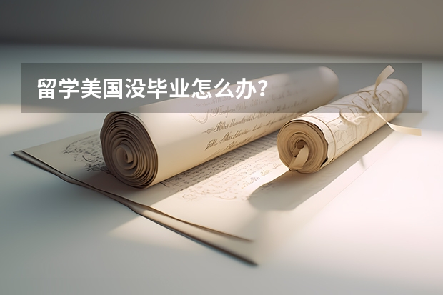 留学美国没毕业怎么办？