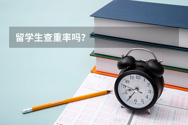 留学生查重率吗？