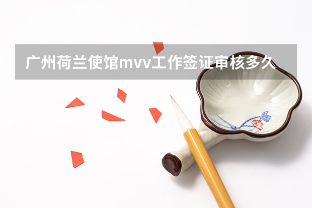 广州荷兰使馆mvv工作签证审核多久怎么8个工作日了还在审核中