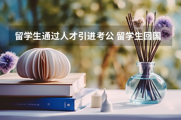 留学生通过人才引进考公 留学生回国找工作的就业情况？