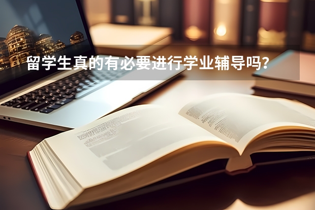 留学生真的有必要进行学业辅导吗？