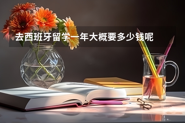 去西班牙留学一年大概要多少钱呢