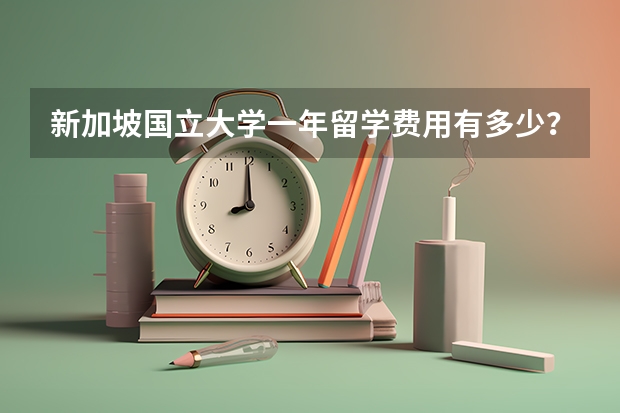 新加坡国立大学一年留学费用有多少？我来替你算算这笔账！