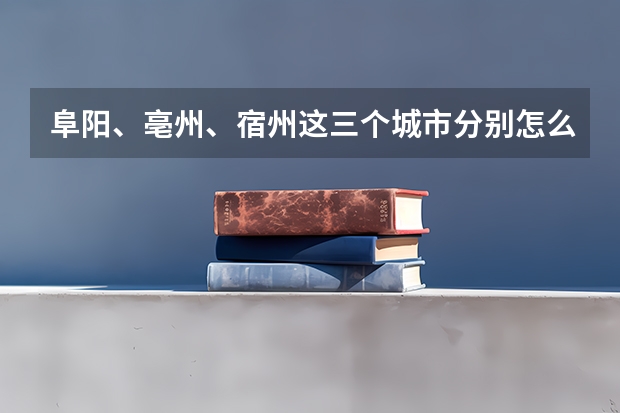 阜阳、亳州、宿州这三个城市分别怎么样?经济、环境、治安等，谢谢啊，想考这三地的公务员