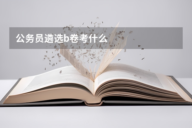 公务员遴选b卷考什么