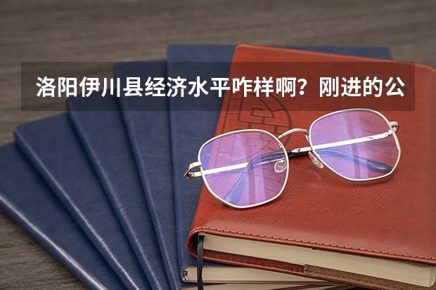 洛阳伊川县经济水平咋样啊？刚进的公务员工资待遇杂样？有人知道吗？