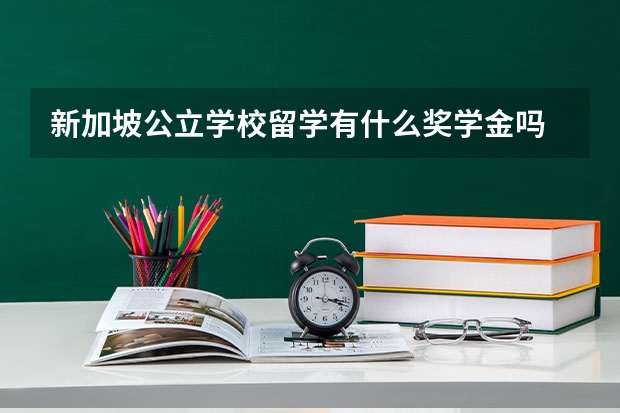 新加坡公立学校留学有什么奖学金吗