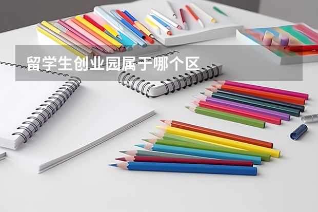 留学生创业园属于哪个区