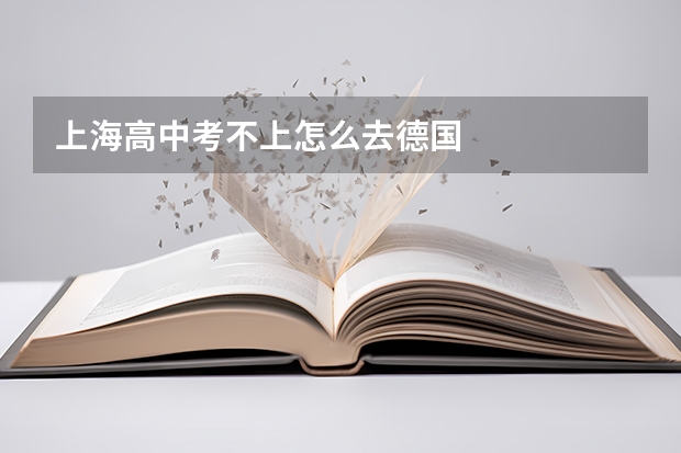 上海高中考不上怎么去德国
